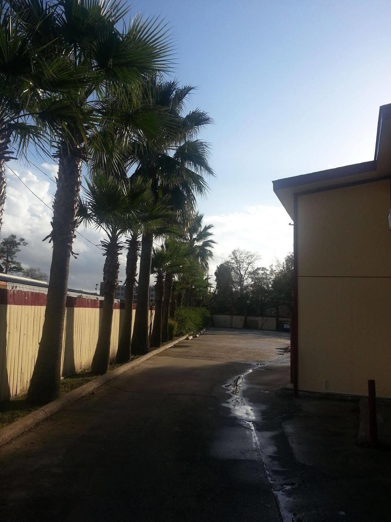 Southmore Motel Houston Dış mekan fotoğraf