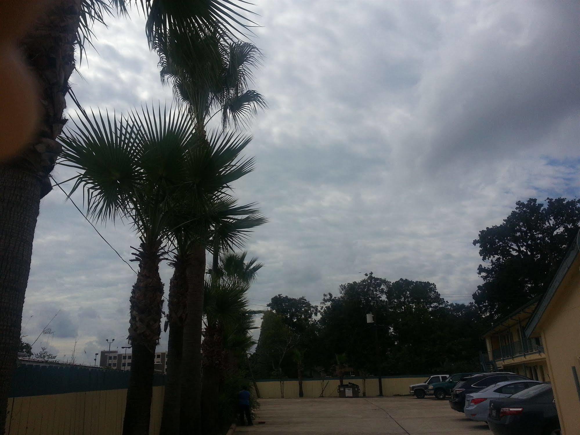 Southmore Motel Houston Dış mekan fotoğraf